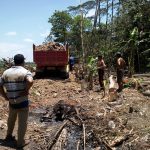 PKT | Padat Karya Tunai | Desa Gombang 2019